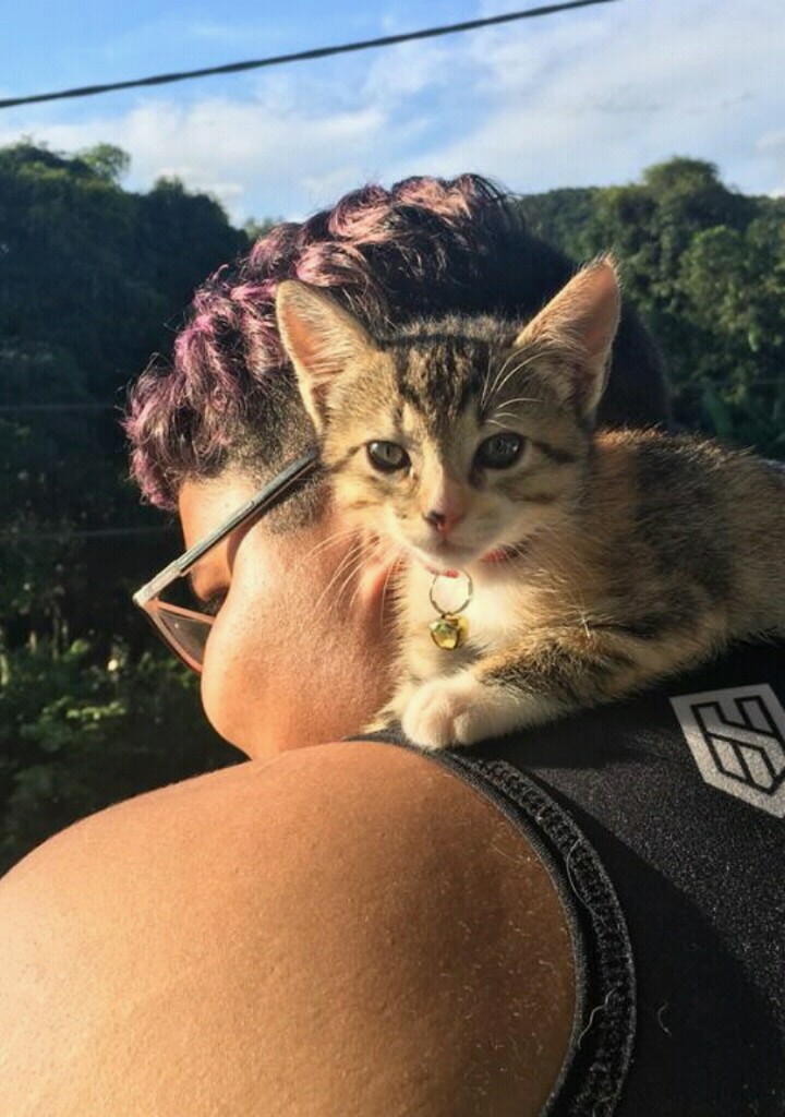 Foto de perfil de Fernanda Cristina da Silva