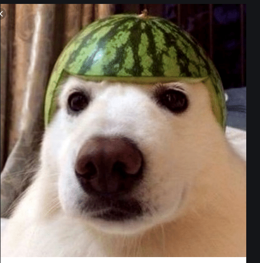 Foto de perfil de Nasuspescotapa