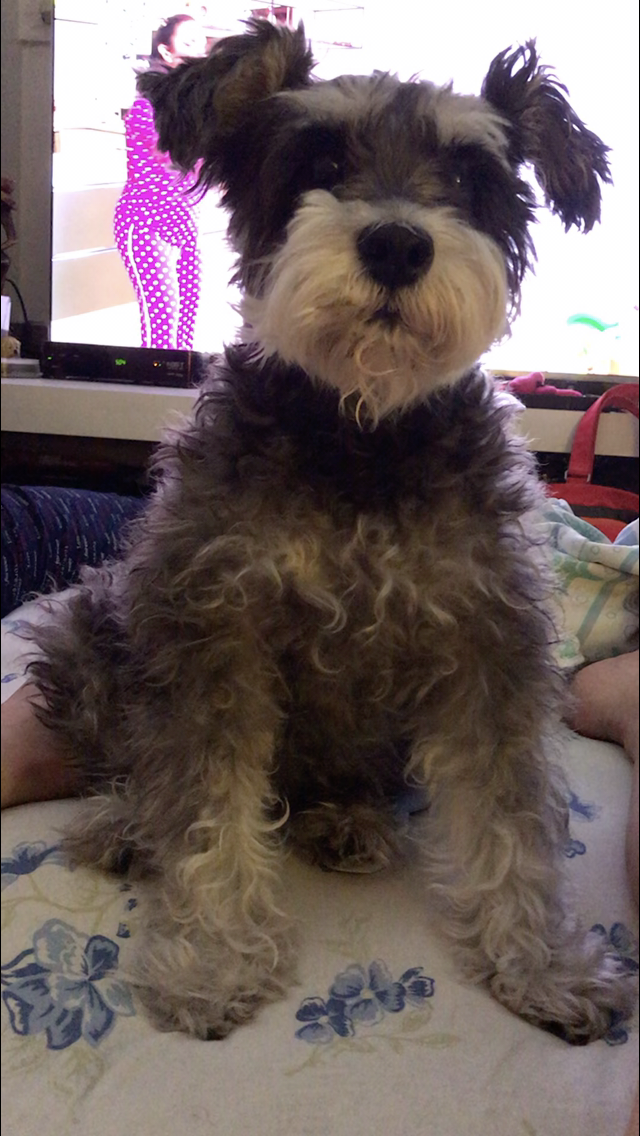 Foto de perfil de Zuka