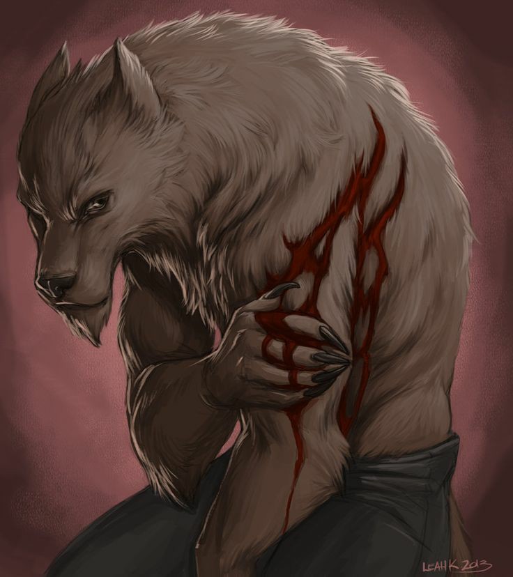Foto de perfil de Wolf_50